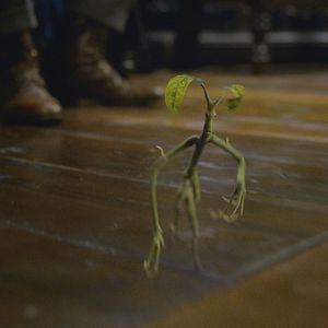 Foto Animales fantásticos: Los Crímenes de Grindelwald