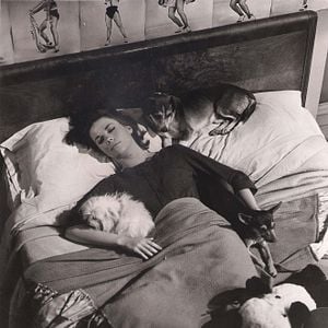 Foto Amores con un extraño