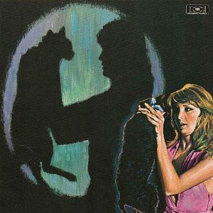 Foto Cazar un gato negro