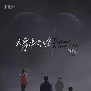 Foto An Elephant Sitting Still