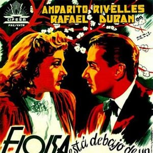 Foto Eloísa está debajo de un almendro