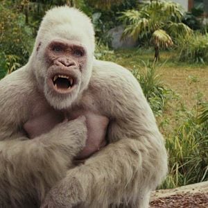 Foto Proyecto Rampage