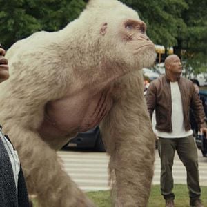 Foto Proyecto Rampage