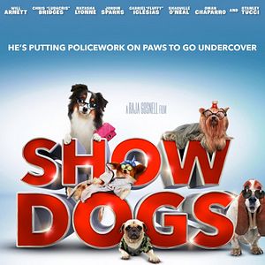 Foto Superagente canino