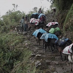 Foto En busca de la Ciudad Perdida