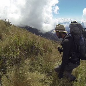 En busca de la Ciudad Perdida - Documental 2016