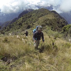Foto En busca de la Ciudad Perdida
