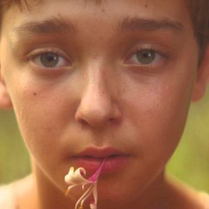 Foto The Strange Ones