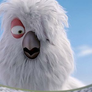 Foto Ploey, nunca volarás solo