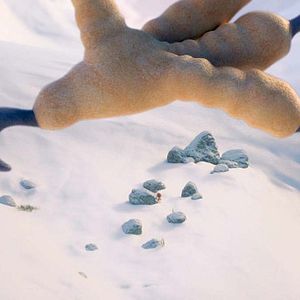 Foto Ploey, nunca volarás solo