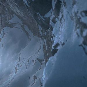 Foto Ploey, nunca volarás solo