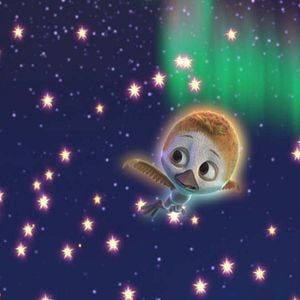 Foto Ploey, nunca volarás solo