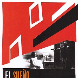 Foto El sueño de las lagartijas