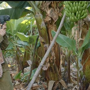 Foto El pintor de calaveras