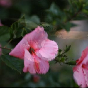 Foto Entre dos orillas