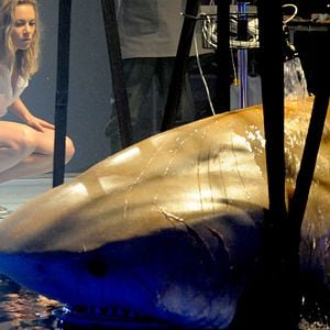 Foto Deep Blue Sea 2