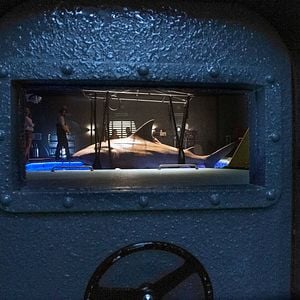 Foto Deep Blue Sea 2