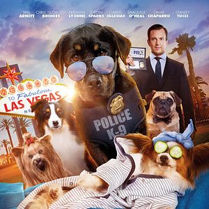 Foto Superagente canino