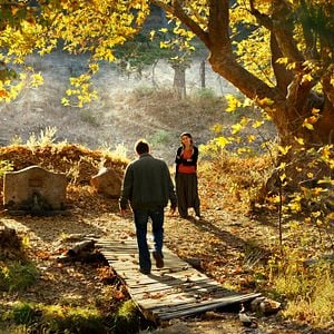 Foto El peral salvaje