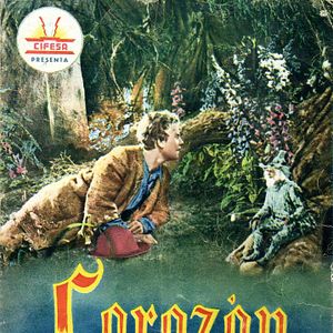 Foto Corazón de piedra