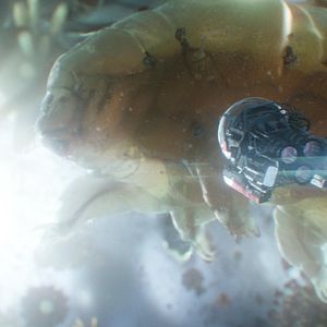 Foto Ant-Man y la Avispa