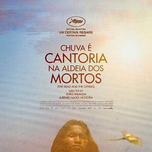 Foto El canto de la selva