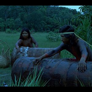 Foto El canto de la selva