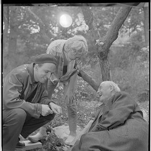 Foto Bergman, su gran año