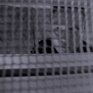 Foto Ang Panahon ng Halimaw