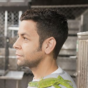 Foto For the People (2018)