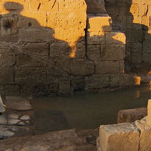 Foto El Papa Francisco. Un hombre de palabra
