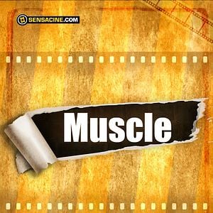 Foto Muscle