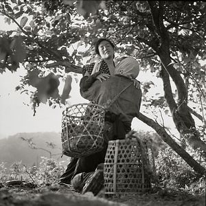 Foto La mujer insecto