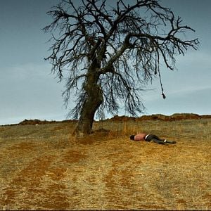 Foto El peral salvaje