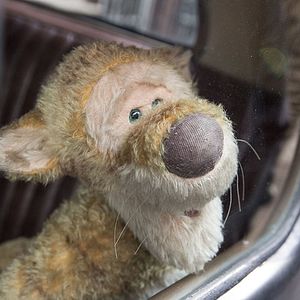 Foto Christopher Robin