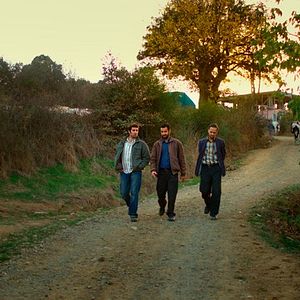 Foto El peral salvaje