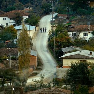 Foto El peral salvaje
