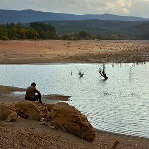 Foto El peral salvaje