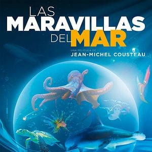 Foto Las maravillas del mar