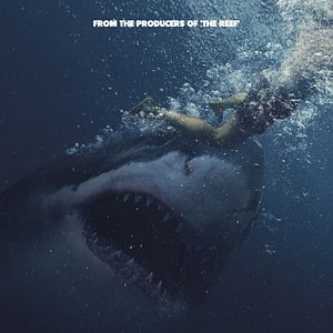 Foto Tiburón blanco