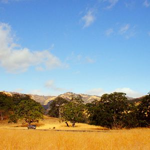 Foto Blanco perfecto (Downrange)