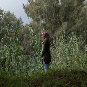 Foto En attendant les Hirondelles