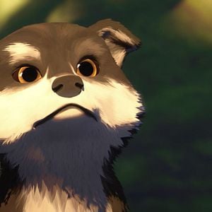 Foto Colmillo blanco