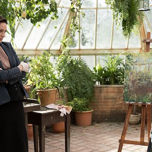 Foto AnnaSophia Robb