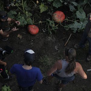 Foto Oreina (Ciervo)