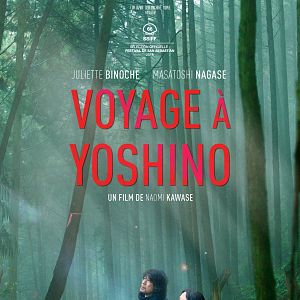 Foto Viaje a Nara (Vision)