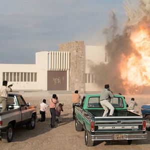Foto Pájaros de Verano
