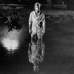 Foto La jauría humana