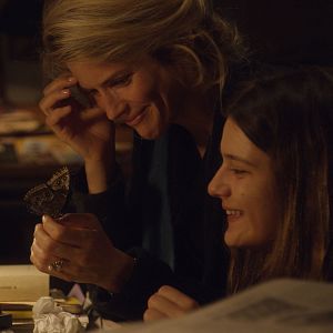 Foto La última locura de Claire Darling