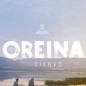 Foto Oreina (Ciervo)